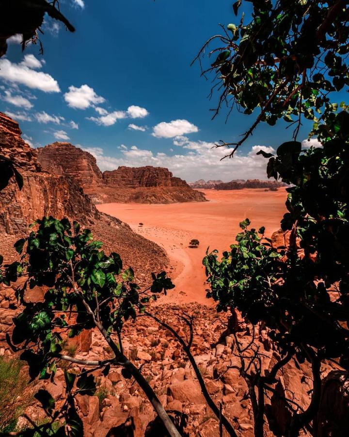 Golden Day Hotel Wadi Rum Exterior photo